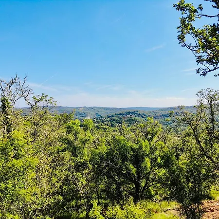 La Du Prestadou - Bain Nordique Et Sauna Apartment Arcambal